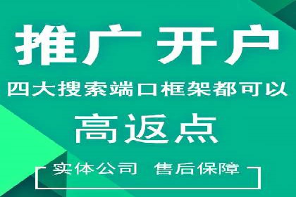 专业SEM托管服务成功案例分享